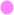 light magenta